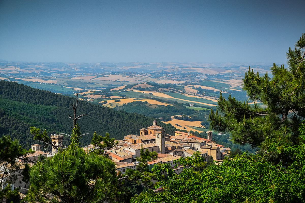 ARCEVIA-PANORAMA